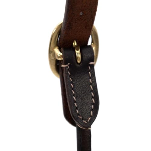 Jeffers Soft Pre-Oiled Harness Leather Show Halter for Cattle – Durable Rolled Cheeks, Noseband, 6’ Lead Rope with 24" Brass Chain & Bolt Snap, Safe Handling, Top Accessory - size: Medium