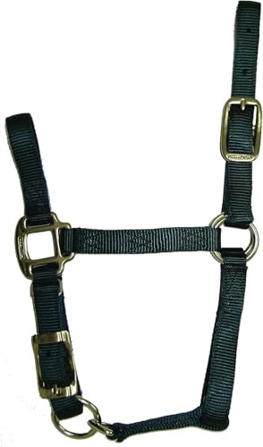 Hamilton Quality Adjustable Horse Halter, 100-200 lbs, Dark Green - color: Dark Green, size: Foal, 100-200lbs