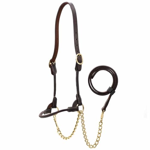 Jeffers Soft Pre-Oiled Harness Leather Show Halter for Cattle – Durable Rolled Cheeks, Noseband, 6’ Lead Rope with 24" Brass Chain & Bolt Snap, Safe Handling, Top Accessory - size: Large