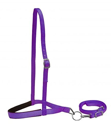 Showman Premium Nylon Noseband Tie Down w/Strap - color: Purple