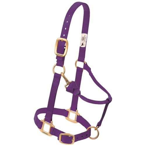 Weaver Leather Original Adjustable Nylon Horse Halter, Red, Arabian/Cob