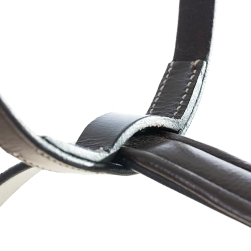 Equinavia Saga Adjustable Leather Running Martingale with Stainless Steel Hardware - Chocolate Brown - Cob - size: Cob