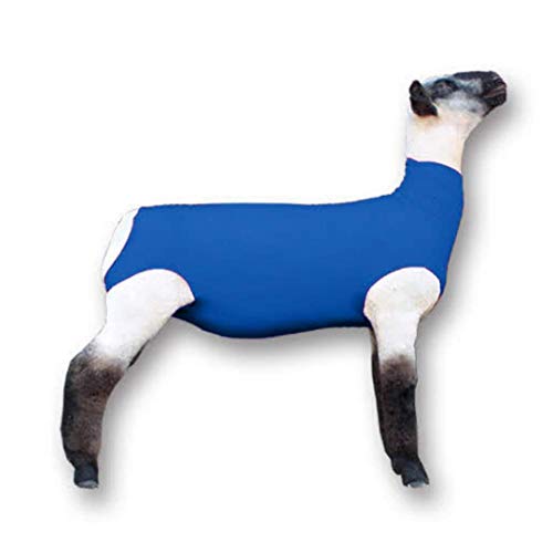 Show Pro Blue Spandex Lamb Tube for Show Sheep & Lamb - Show Livestock Supplies: Sheep Covers & Blankets - size: Medium