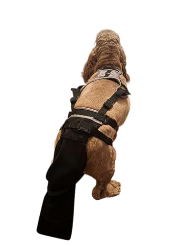 Tail Guard & Harness Set - Veterinary Dog Tail Protector & Injury Wrap, Size XS - size: XS