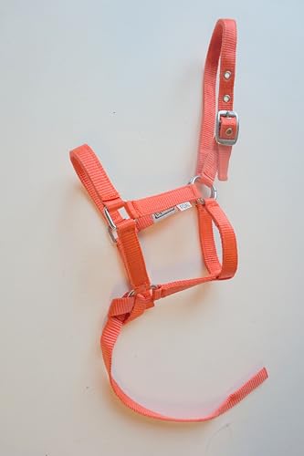 Nylon Foal Halter with Detachable 13" Catch - color: Orange