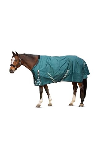 Equinavia Arktis Regular Neck Turnout Sheet - Deep Green - 69 in - color: Deep Green, size: 69 in