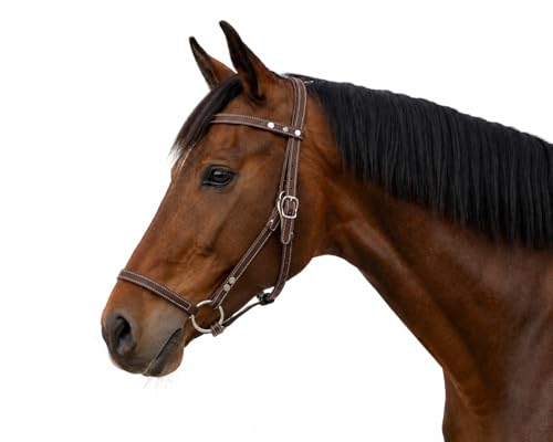 J7 Adjustable Full-Grain Leather Horse Halter with Breakaway Crown Padded Noseband & Cheek Straps Durable Everyday Halter for Training & Turnout