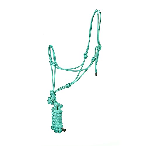 SIE 4 Knot Stiff Polyester Training Rope Halter with 10’ Matching Lead Rope for Horses (SEA Green) - color: SEA GREEN