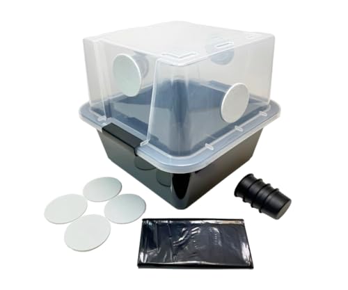 Myco Labs Grower's Select 28Q Cube Mushroom Monotub Fruiting Chamber with Filter Disks and Liner - size: 28 Quart
