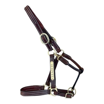 Leaders Premium Padded Leather Horse Halter - Exclusive Pre-Oiled Aniline Leather with Lacquered Solid Brass Hardware & Machined Structural Rings - size: Large Horse/Oversize WIth Name Plate