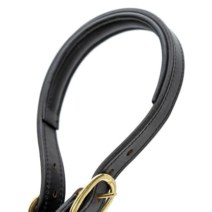 Jeffers Paris Padded Leather Horse Halter with Throat Snap, Adjustable Double Buckle Crown with Throat Snap, Triple Stitched Noseband for Cheek & Nose, Black - size: Full