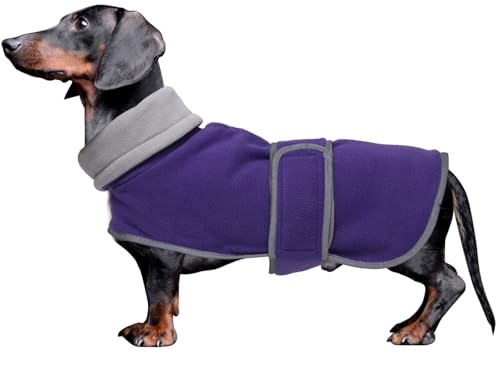 Dachshund Coats Sausage Dog Fleece Coat in Winter Miniature Dachshund Clothes with Hook and Loop Closure high vis Reflective Stripe Safety Purple XS - color: Purple, size: X-Small(Back: 12"-13"in)