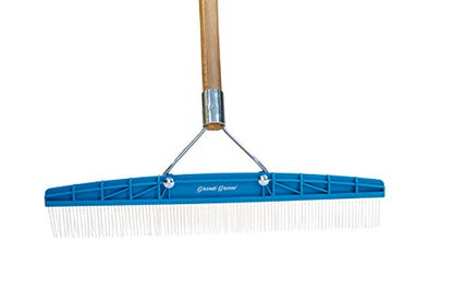 Grandi Groom AB24 Carpet Rake, 18-Inch Head, 54-Inch Handle, Blue