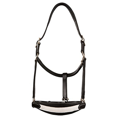 Exion Leather Soft Padded White Halter and Leather Lead with Chain Combo | Adjustable Padded Leather Halter with Snap | Padded Crownpiece | Black/Havana Brown Leather | Horse/Cob/Warmblood/Pony - color: Havana (Choco Brown), size: Pony (Small Size)-Vegeta