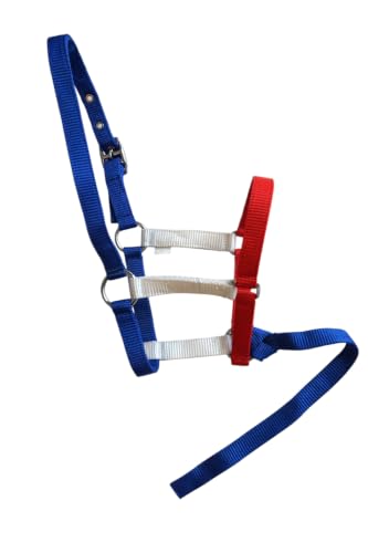 Nylon Foal Halter with Detachable 13" Catch - color: RWBlue