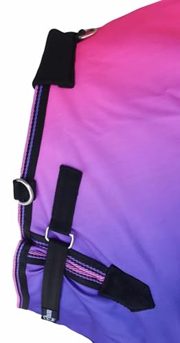 Challenger 1200D Turnout Waterproof Rain Horse Sheet Light Winter Blanket 393B - color: Berry Ombre, size: 76 inches