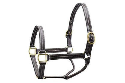 Derby Originals Triple-Stitched Leather Horse Halter – Premium Double-Layer Design with Brass Hardware – No Throat Snap for Safety, Classic Track Style – One-Year Warranty - size: Cob