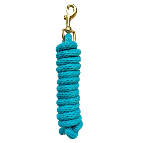 5/8" x 8' Nylon Horse Lead Rope with Cast Iron Hardware(Lake Blue) - color: Lake Blue