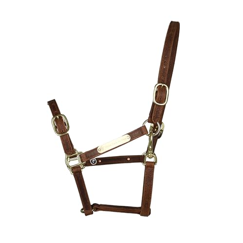 J7 Adjustable Full-Grain Leather Horse Halter with Breakaway Crown Padded Noseband & Cheek Straps Durable Everyday Halter for Training & Turnout