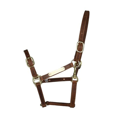J7 Adjustable Full-Grain Leather Horse Halter with Breakaway Crown Padded Noseband & Cheek Straps Durable Everyday Halter for Training & Turnout
