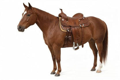 CHALLENGER Horse Saddle Stirrups Western Saddle Engraved Aluminum Angled Slanted Bell 51188