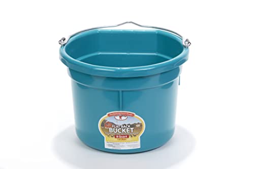 Little Giant® Flat Back Plastic Animal Feed Bucket | Animal Feed Bucket with Metal Handle | Horse Stall Feeding and Watering Supplies (Teal, 8 Quart) - color: Teal, size: 8 Quart