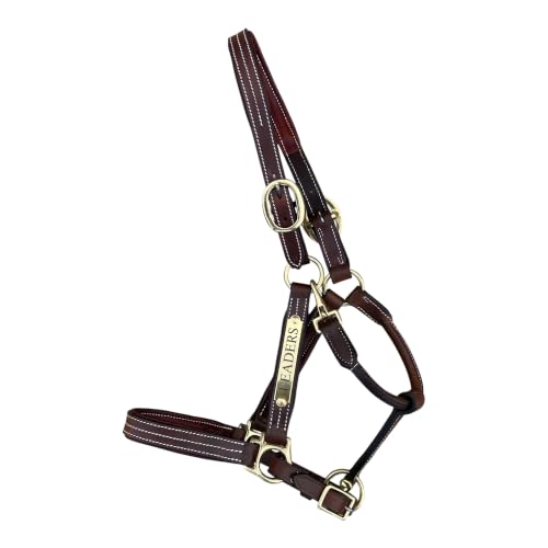 Leaders Premium Padded Leather Horse Halter - Exclusive Pre-Oiled Aniline Leather with Lacquered Solid Brass Hardware & Machined Structural Rings - size: Cob Size with Name Plate