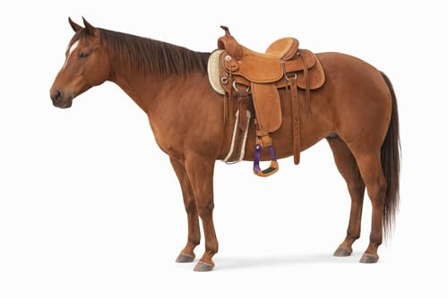 CHALLENGER Horse 4-3/4" Western Saddle Barrel Racing Lightweight Aluminium Stirrups 5181 - color: Purple