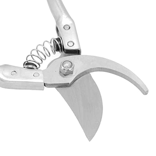 Farrier Hoof Tool Kit, Goat Hoof Trimming Shears Nail Clippers for Sheep, Lamb, Pig Hooves, Animal Toe Nails Trimming Repairing Tool (Silver)
