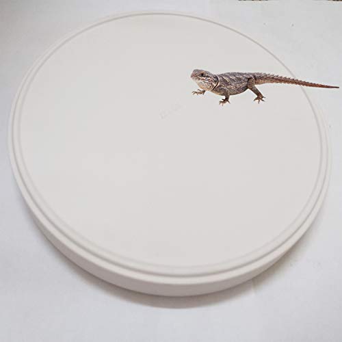 Reptile Water Food Dish Bowl Turtle Feeder Tortoise Feeding Dish Container (M, White) - color: White, size: M