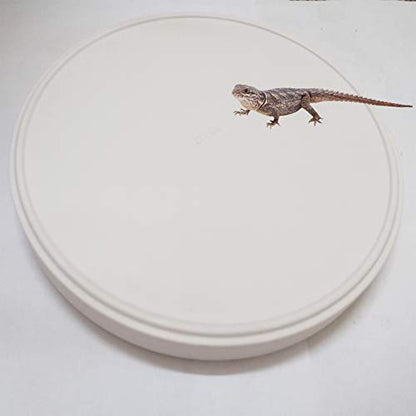 Reptile Water Food Dish Bowl Turtle Feeder Tortoise Feeding Dish Container (M, White) - color: White, size: M