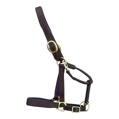 Leaders Premium Padded Leather Horse Halter - Exclusive Pre-Oiled Aniline Leather with Lacquered Solid Brass Hardware & Machined Structural Rings - size: Brown Horse Size/Purple Padding with Nameplate