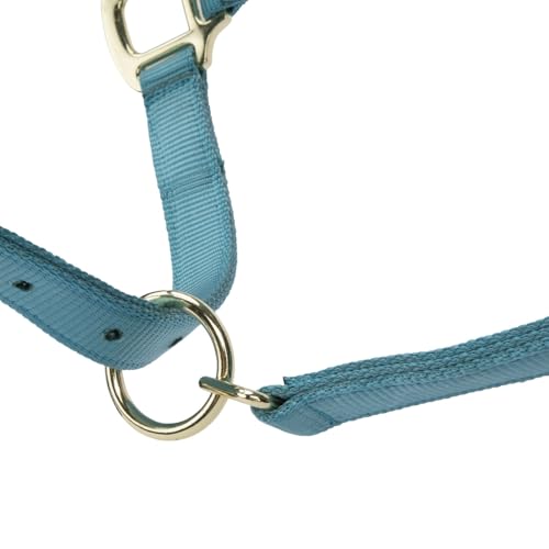 Shires ARMA Adjustable Nylon Halter - color: Teal, size: Cob