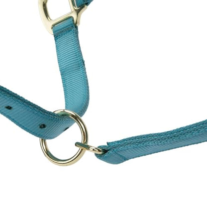 Shires ARMA Adjustable Nylon Halter - color: Teal, size: Cob