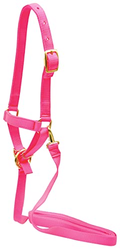 Jeffers Livestock Nylon Sheep Halter & Lead Set – Brass Plated ¾ Adjustable Halter with 6ft Rope for Sheep, Goats, Lambs – Farm, Ranch, Barn, Stable, Milking, Show, Training Gear - Pink - color: Pink