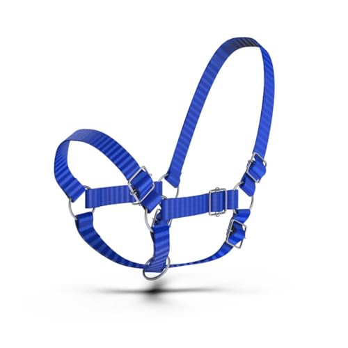 HADZAM Adjustable Nylon Cow Halter | Calf Halter one Halter for (1 Year to Full Size) Easy Adjustable Straps elimates the Need of Ill-Fitting Cattle Halter - color: BLUE