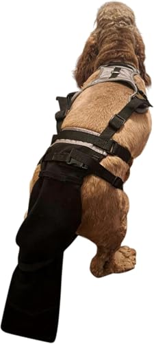 Tail Guard & Harness Set - Veterinary Dog Tail Protector & Injury Wrap, Size 3XL - size: 3XL