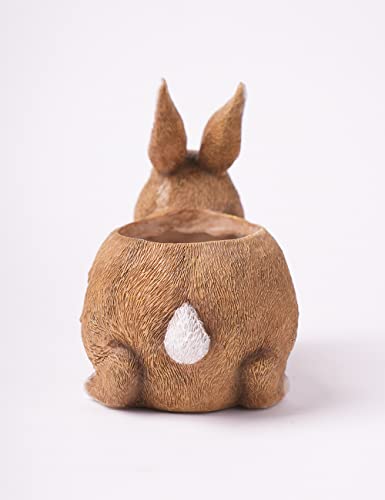 HAUCOZE Rabbit Planter Succulent Pot Animal Statue Modern Decor 8.7 Inch