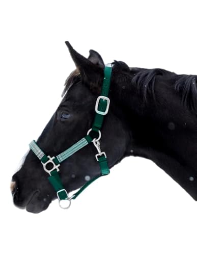 Kensington Premium Breakaway Halter with Padded Nose — Added Breakaway Safety Measures — Snap at Throat for Identical Fit Each Time - color: 2017P-Purple w/Lavender Mint, size: Medium