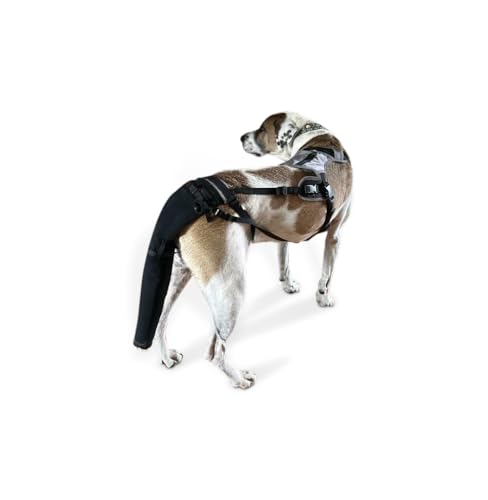 Tail Guard & Harness Set - Veterinary Dog Tail Protector & Injury Wrap, Size XS - size: XS