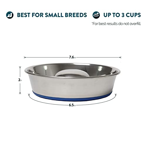 OurPets DuraPet Slow Feed Premium Stainless Steel Dog Bowl, Silver, Small (2040010300) - size: Small (2 Cups)