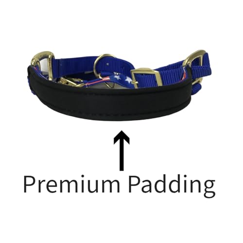 Derby Originals Patriotic Nylon Horse Halter with Matching 10ft Cotton Lead