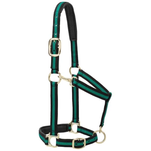 Weaver Leather Padded Adjustable Nylon Horse Halter, Blue, 1" Large Horse