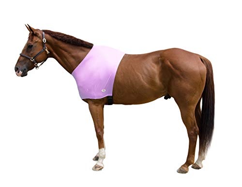 Derby Originals Lycra Stretch Horse Shoulder Guard - color: Plum Purple