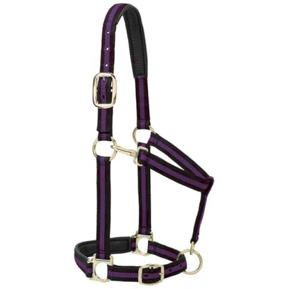 Weaver Leather Padded Adjustable Nylon Horse Halter, Blue, 1" Large Horse