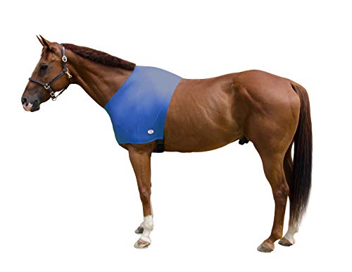Lycra Stretch Horse Shoulder Guard - color: Royal Blue, size: Small Pony 54" to 58"