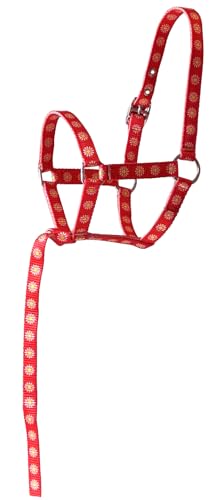 Nylon Foal Halter with Detachable 13" Catch - color: Red with Daisies