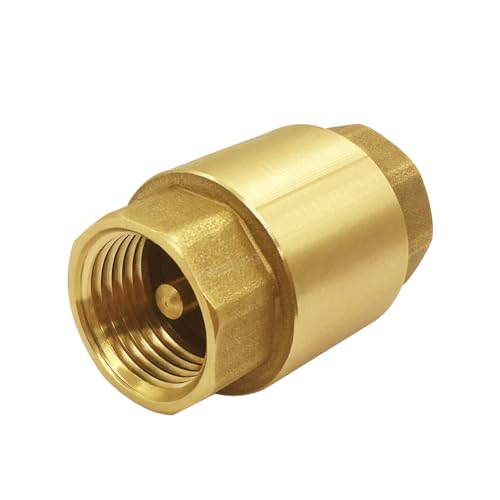 Hooshing 2PCS Spring Check Valve 1/2" NPT Female Thread Backflow Preventer - size: 1/2" NPT