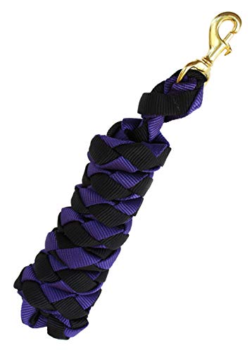 Nylon Horse Neoprene Padded Halter Brass Hardware Horse Tack Equine 606173 - color: Purple