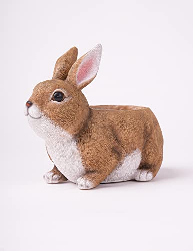 HAUCOZE Rabbit Planter Succulent Pot Animal Statue Modern Decor 8.7 Inch